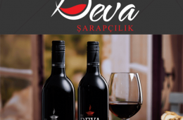 deva-yeni