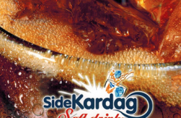 side-cola-yeni