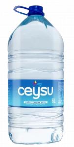 Ceysu-6L-151x300.png[1]